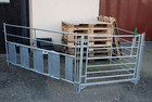schaf gitter