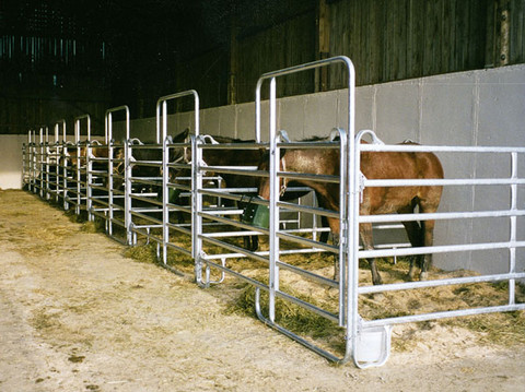 Panel-Gitter bei Haus & Hof AG, Thörigen kaufen | Haus & Hof AG